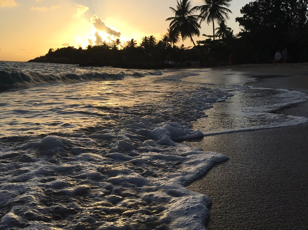 Gros Raisin-圣吕斯必去景点