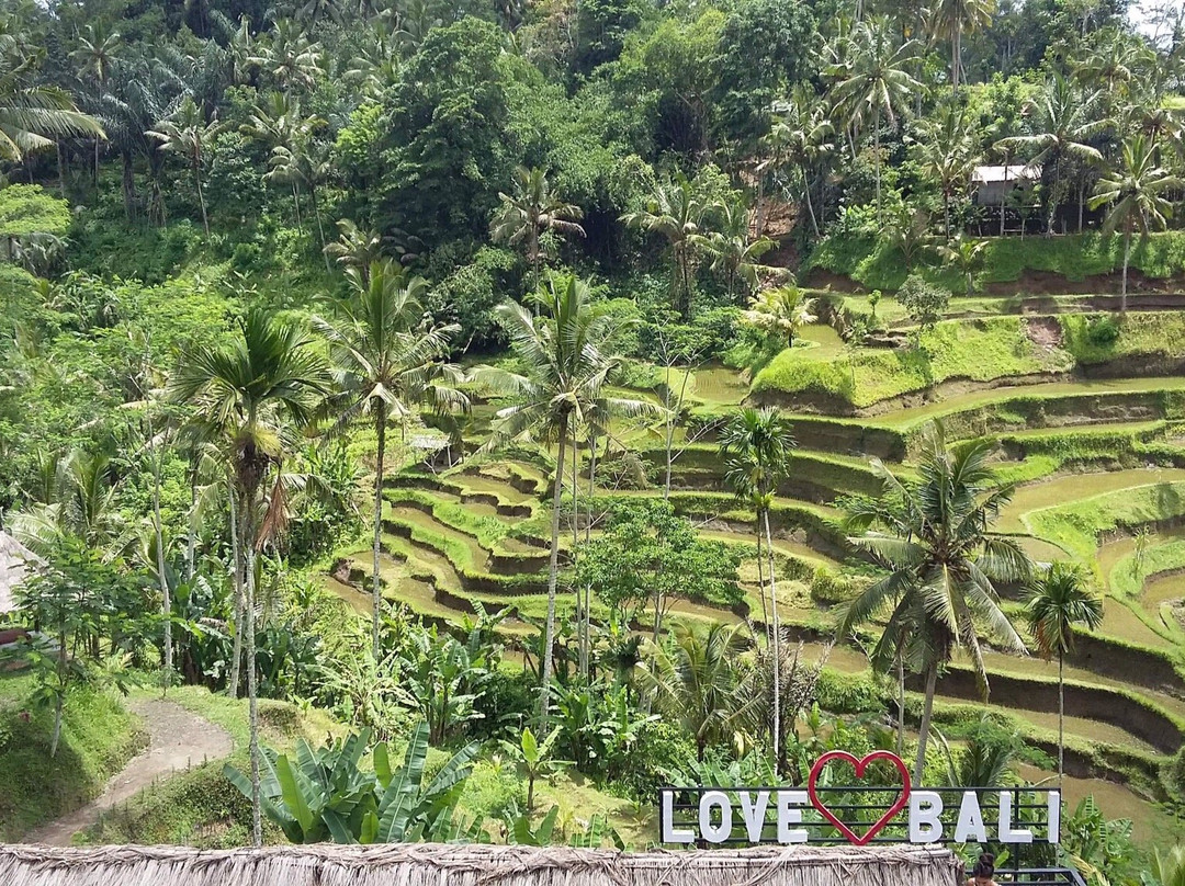 Buddy Bali Day Tours-金巴兰必去景点