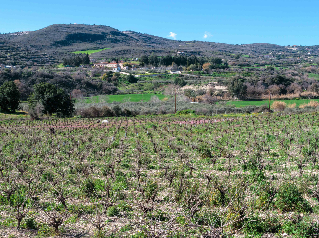 Ktima Christoudia Winery景点图片