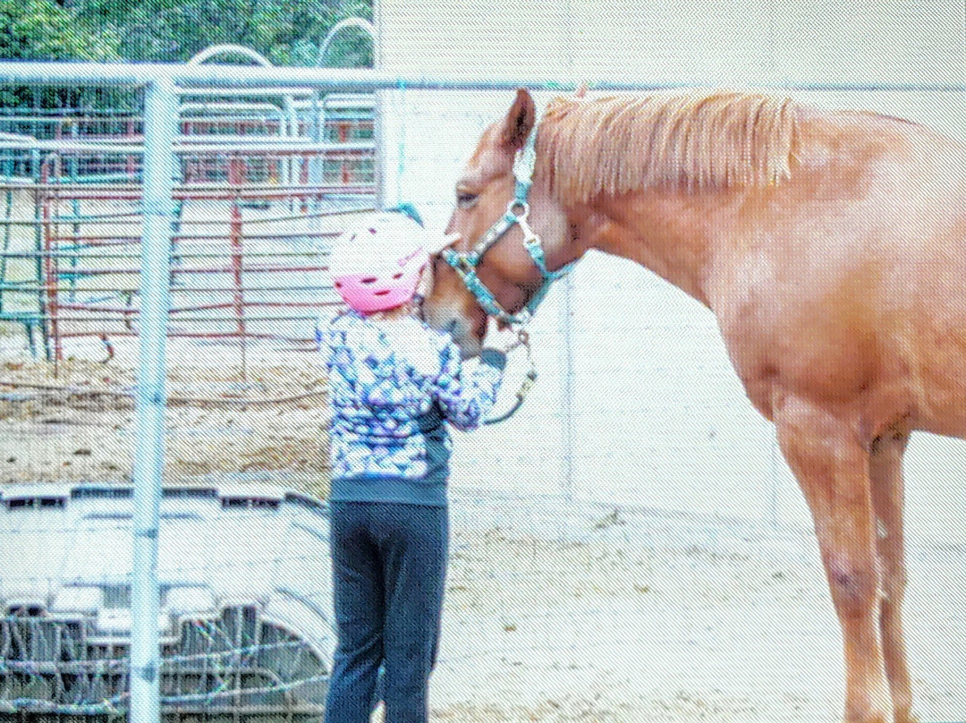 Patterson Farms-Star Valley必去景点