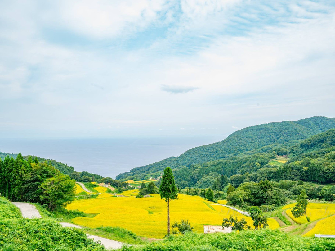 Iwakubi Shoryu Tanada-佐渡市必去景点