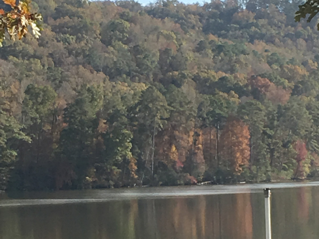 Town Creek Fishing Center-Guntersville必去景点