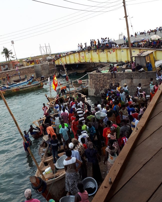 Coconut Grove Bridge House主图