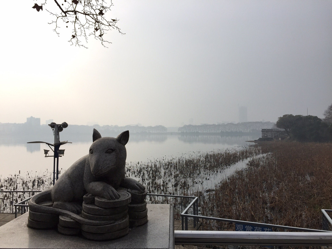 甘棠湖-九江市必去景点