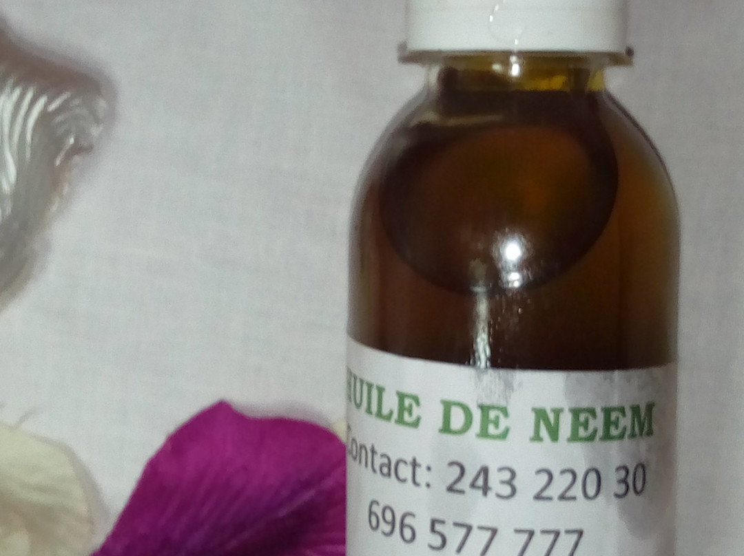 Melvita Cosmétiques Biologiques景点图片