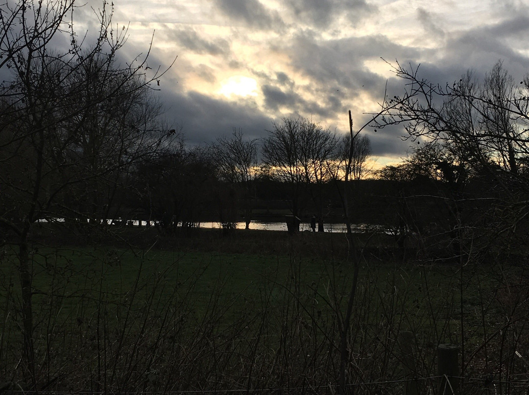 Needham Lake景点图片