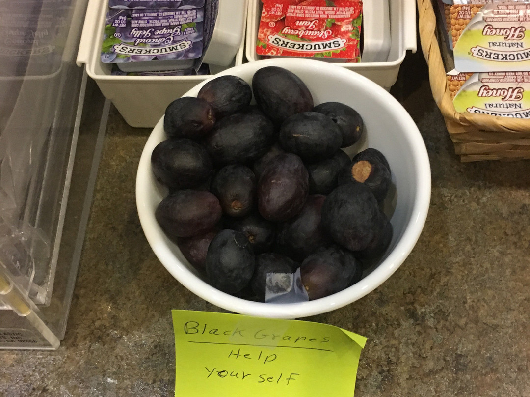 Shenandoah Inn & Suites主图