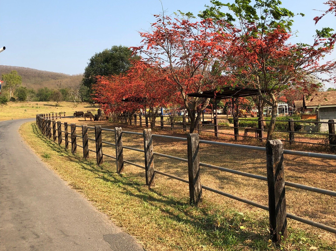 Thongsomboon Club景点图片
