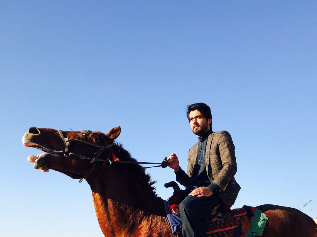 Buzkashi Stadium-Mazar-i-Sharif必去景点