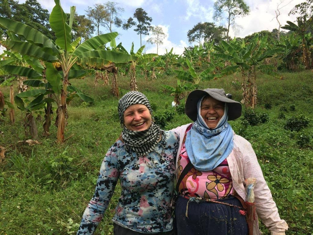 Quiero Viajar Co-Cocora必去景点