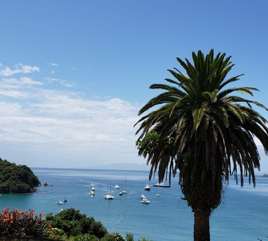 Potiki Adventures-怀系奇岛必去景点