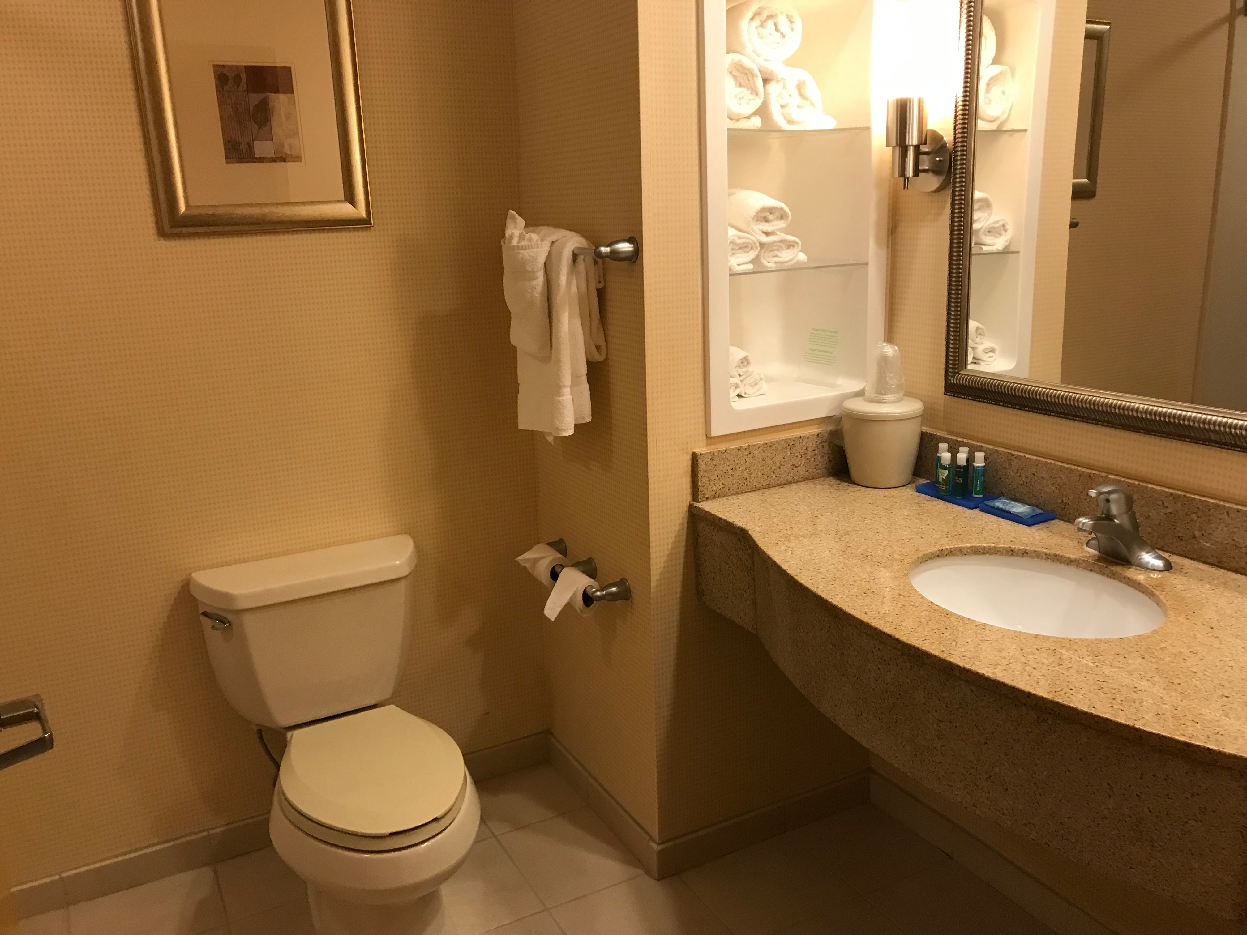 Holiday Inn Express & Suites Absecon-atlantic City Area By IHG-浴室