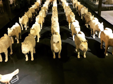 Xian Tours-西安市必去景点