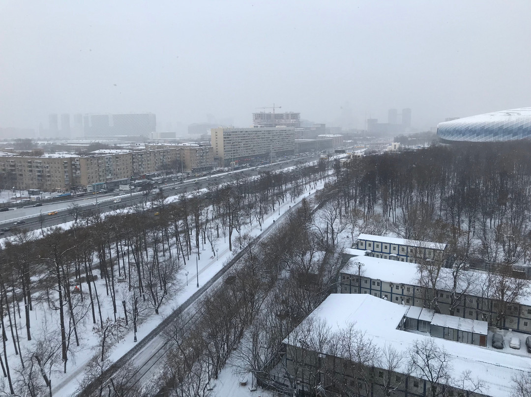 Hyatt Regency Moscow Petrovsky Park主图