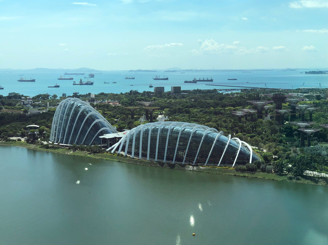 新加坡摩天观景轮景点图片