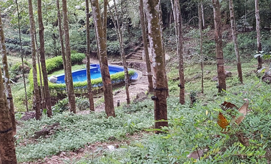 Tappers' Village Nature Resort and Retreat Centre主图