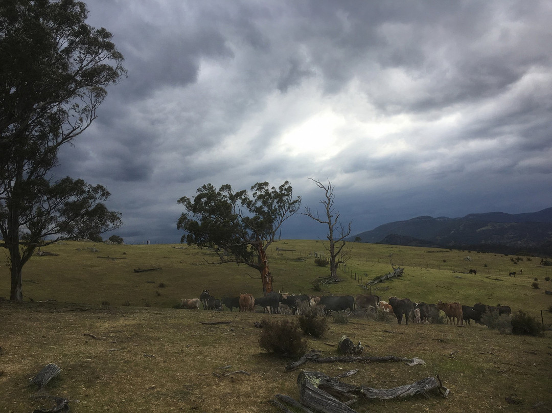Megalong Valley Farm-Megalong Valley必去景点