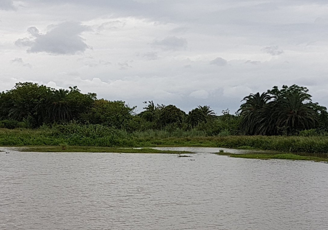 Reserva Natural Urbana景点图片