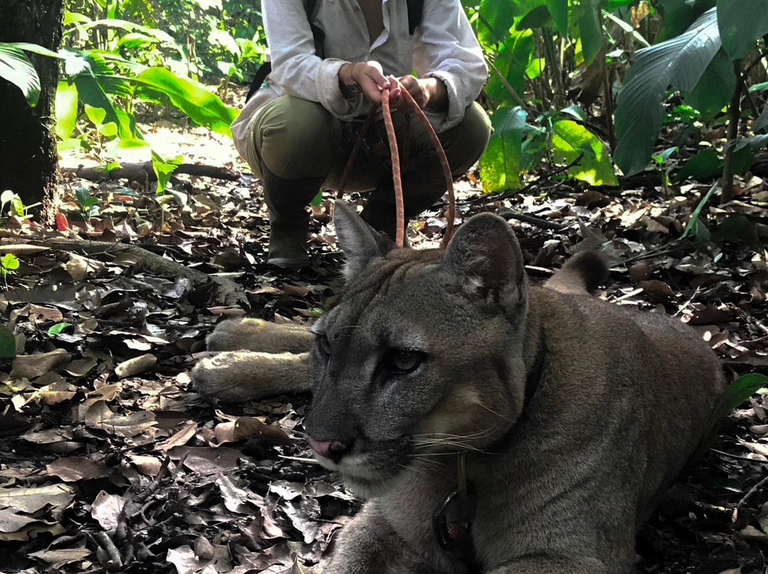 Comunidad Inti Wara Yassi (CIWY)-科恰班巴必去景点