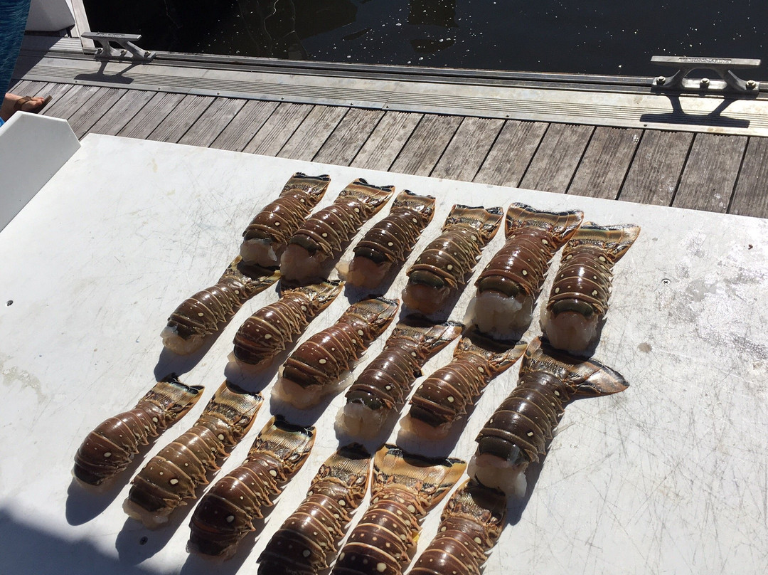 Splashdown Divers-博因顿海滩必去景点