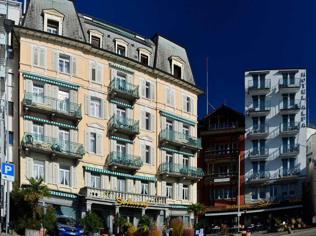 Hotel Schmid & Alfa主图
