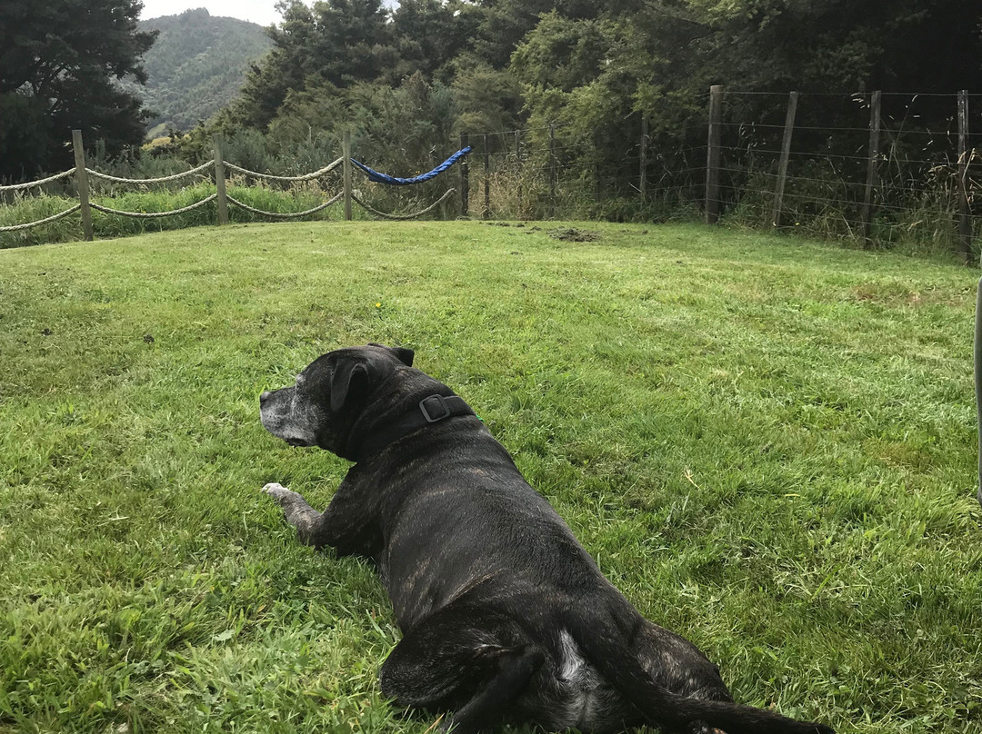 Valley Vista Eco Retreat主图