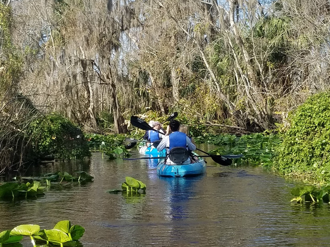 Kayaking Florida景点图片