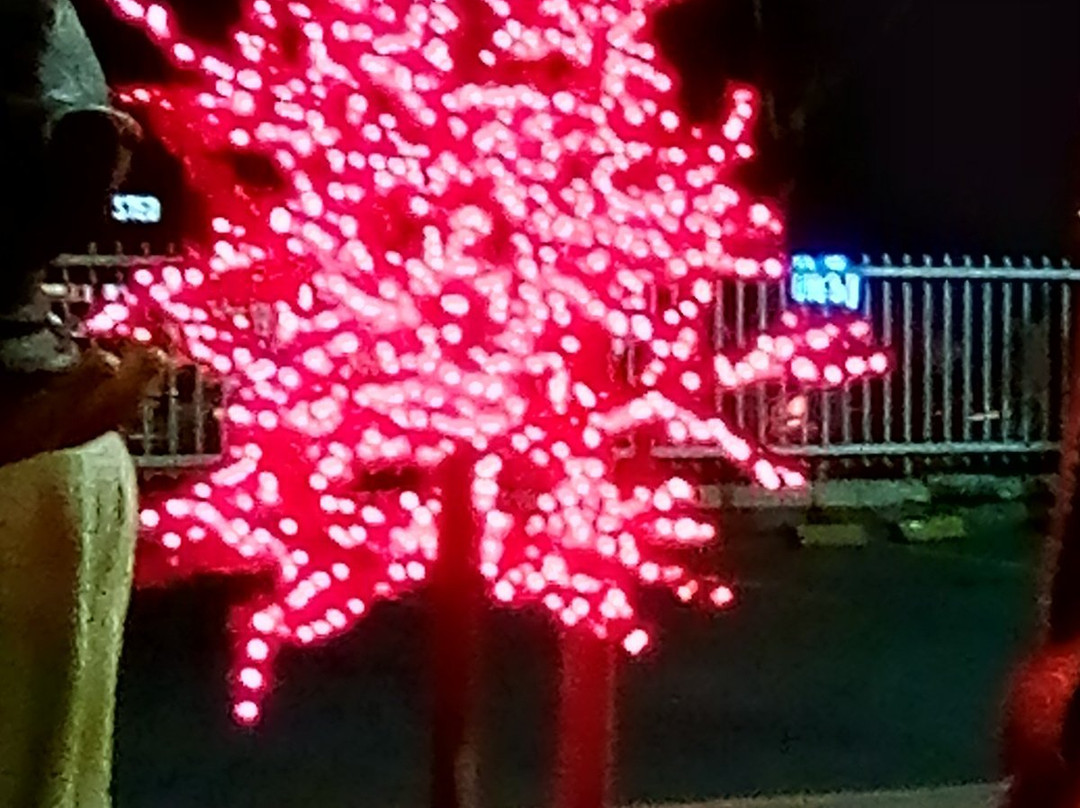 Centro Comercial Santa Lucia Plaza-内瓦必去景点