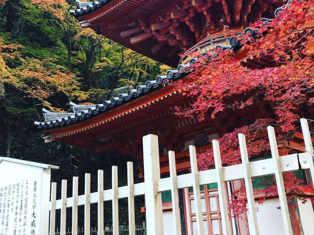 Daiitokuji Temple-岸和田市必去景点