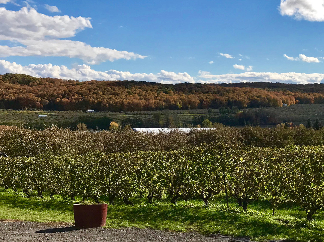 La Bullerie-Saint-Joseph-du-Lac必去景点