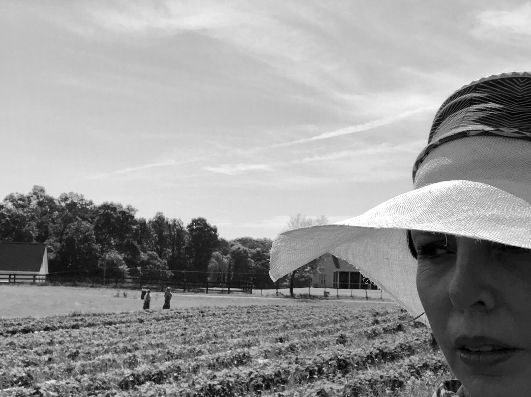 Warbington Farms-卡明必去景点