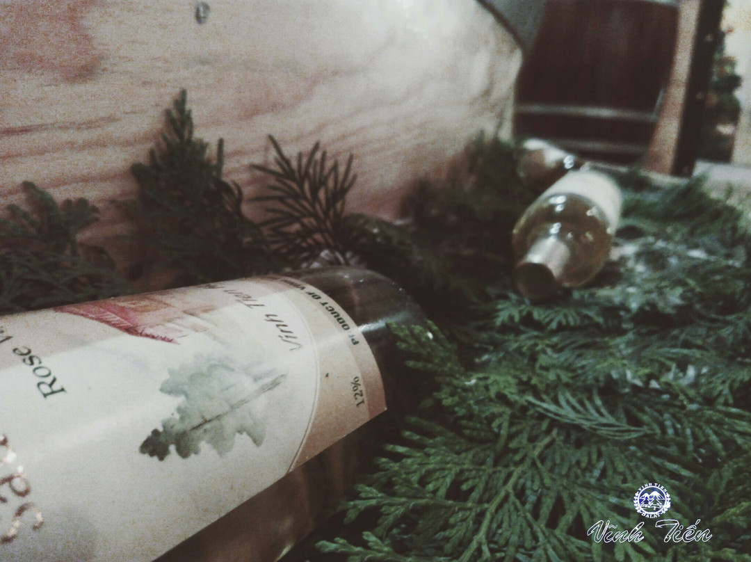 VinhTien Winery-大勒必去景点