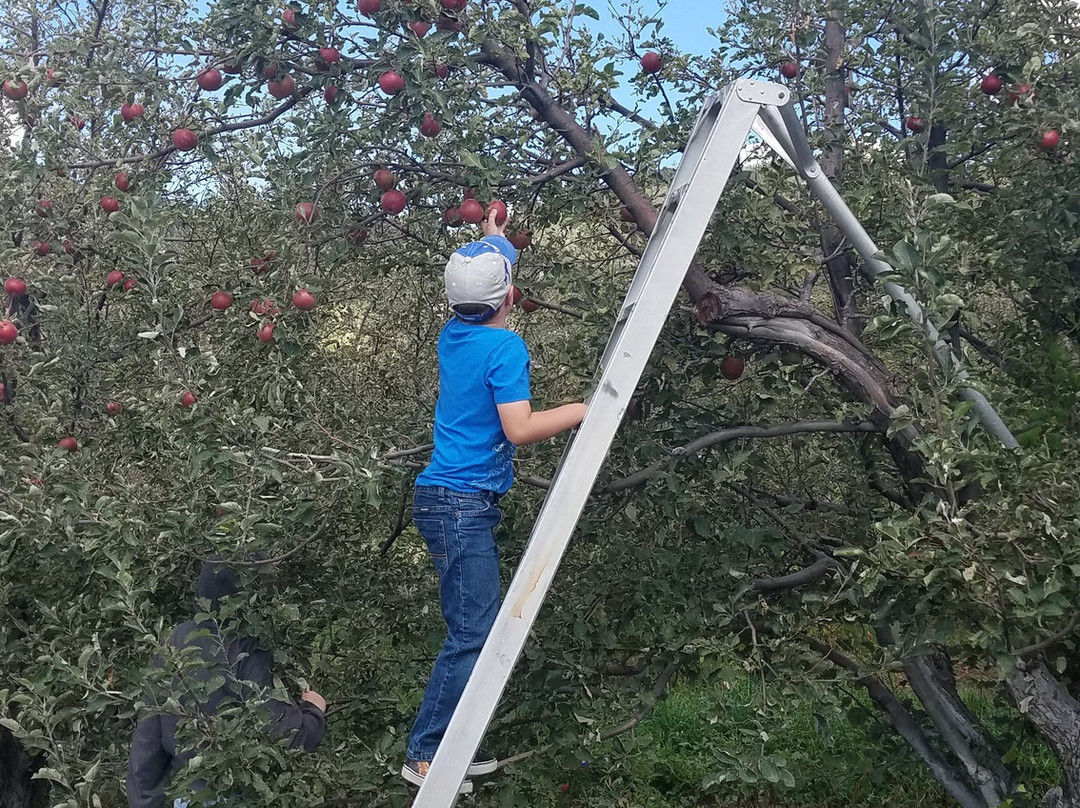 Nichols Ranch and Orchards-Cloudcroft必去景点