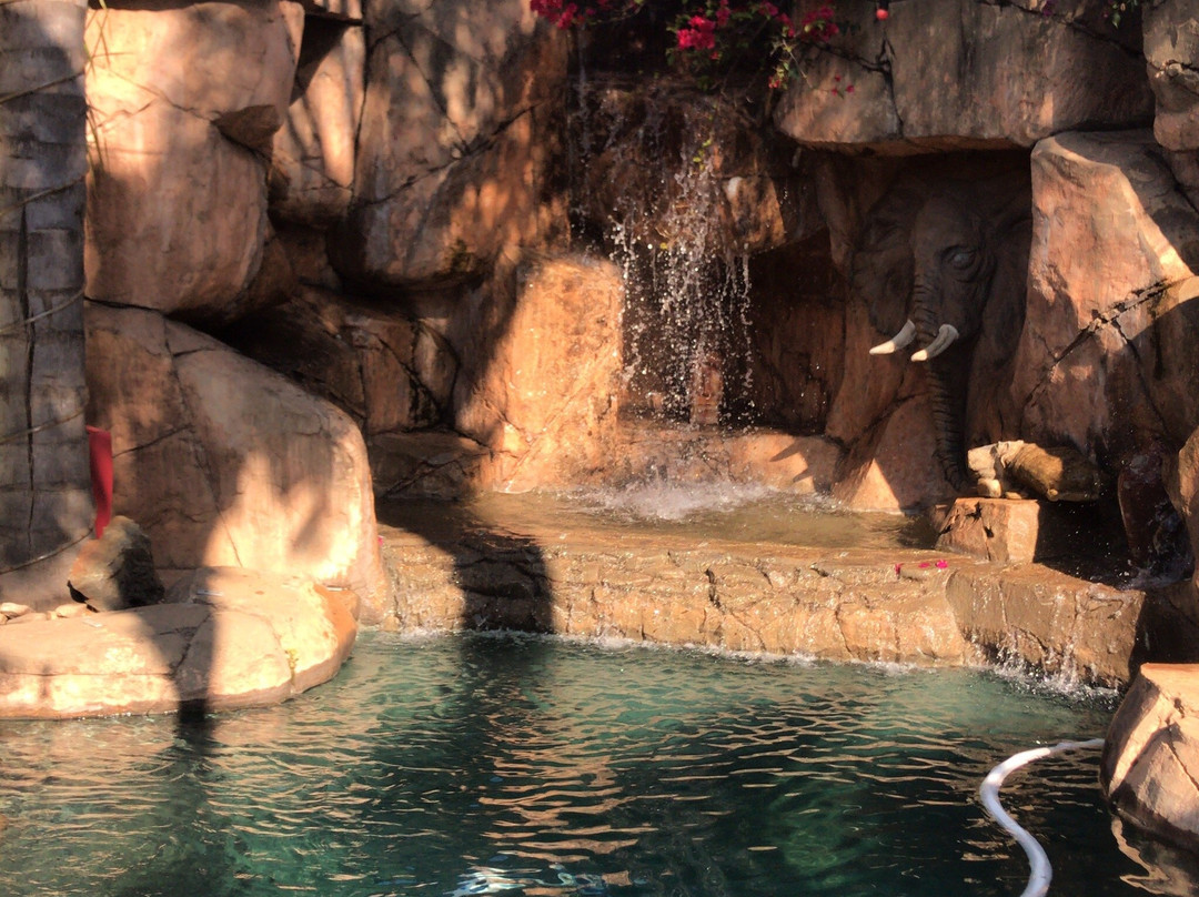 Eagle Rock Executive Guest House主图