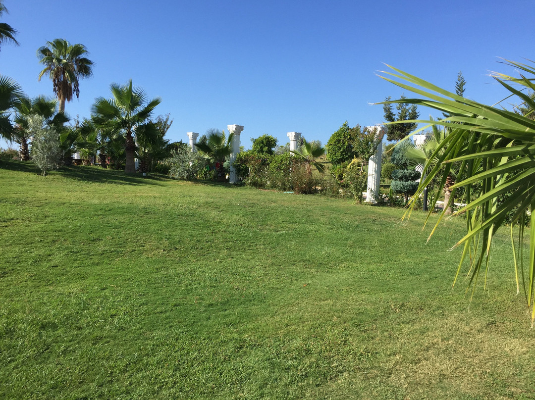 Roma Beach Resort & Spa主图