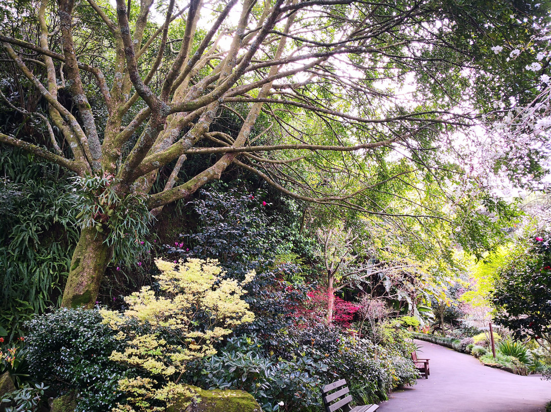 Eden Garden-埃普索姆必去景点