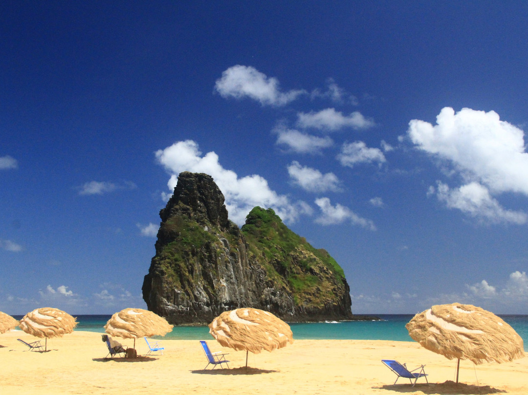 Primeirissima Turismo-费尔南多-迪诺罗尼亚群岛必去景点