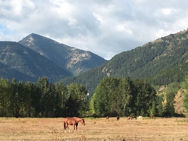 Bear Creek Guest Ranch-酒店景观