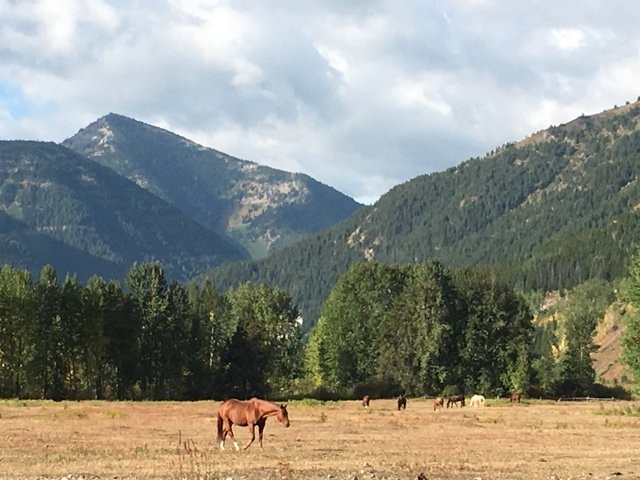 Bear Creek Guest Ranch主图