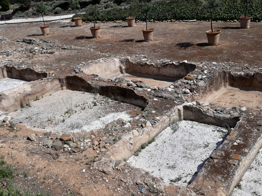 Finca Del Secretario景点图片