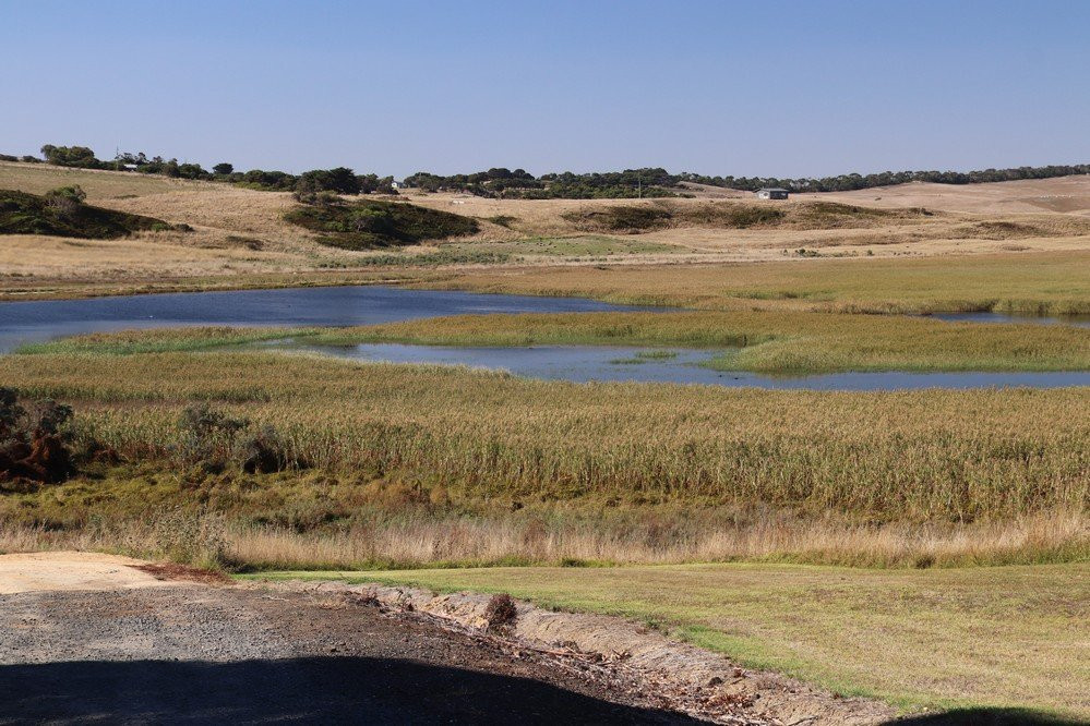 Princetown Wetlands Boardwalk景点图片