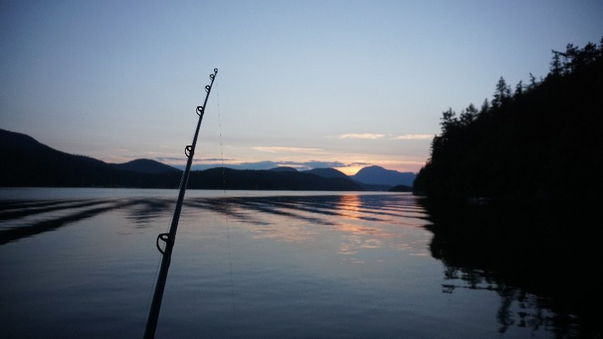 Bathgate General Store, Resort & Marina主图