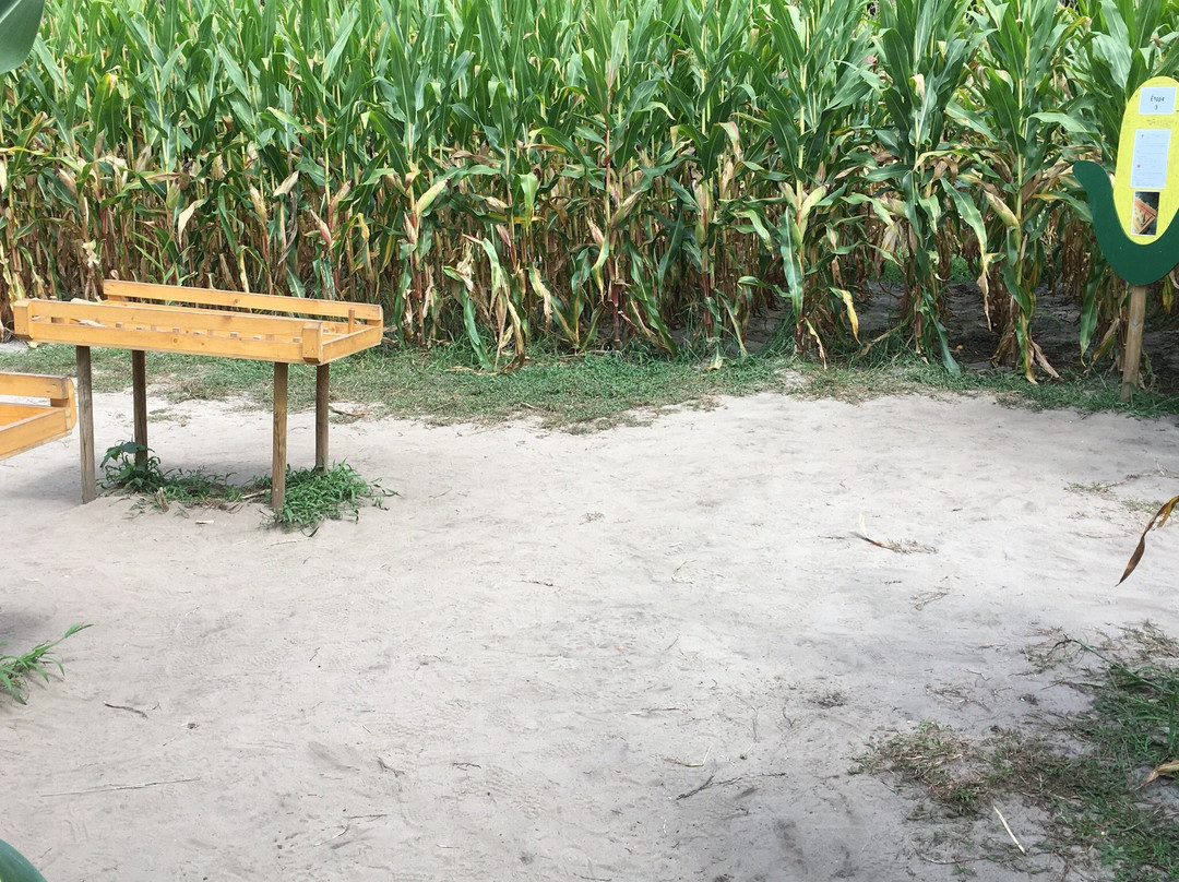 Popcorn Labyrinthe-Saubion必去景点