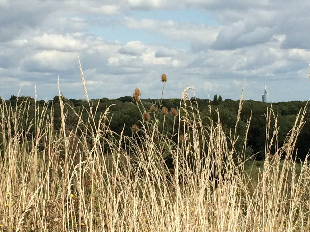 Alver Valley Country Park景点图片