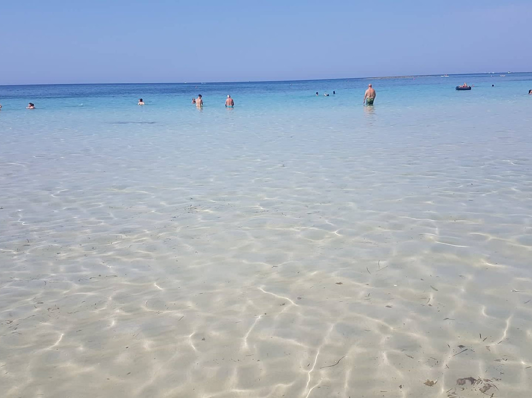 Piazza Risorgimento主图
