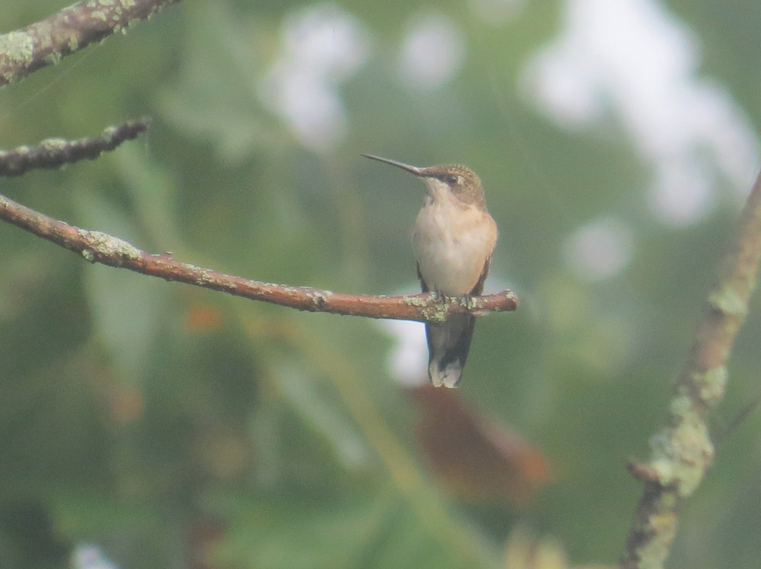Fernald Preserve-Harrison必去景点