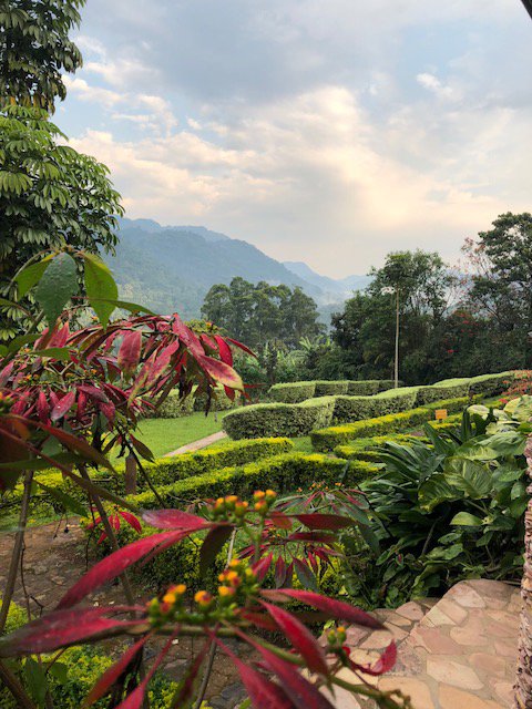 Silverback Lodge-酒店景观