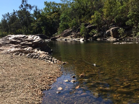 Alligator Falls Track-Alligator Creek必去景点