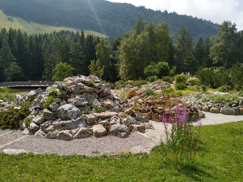 Giardino Botanico Alpino Viote di Monte Bondone景点图片