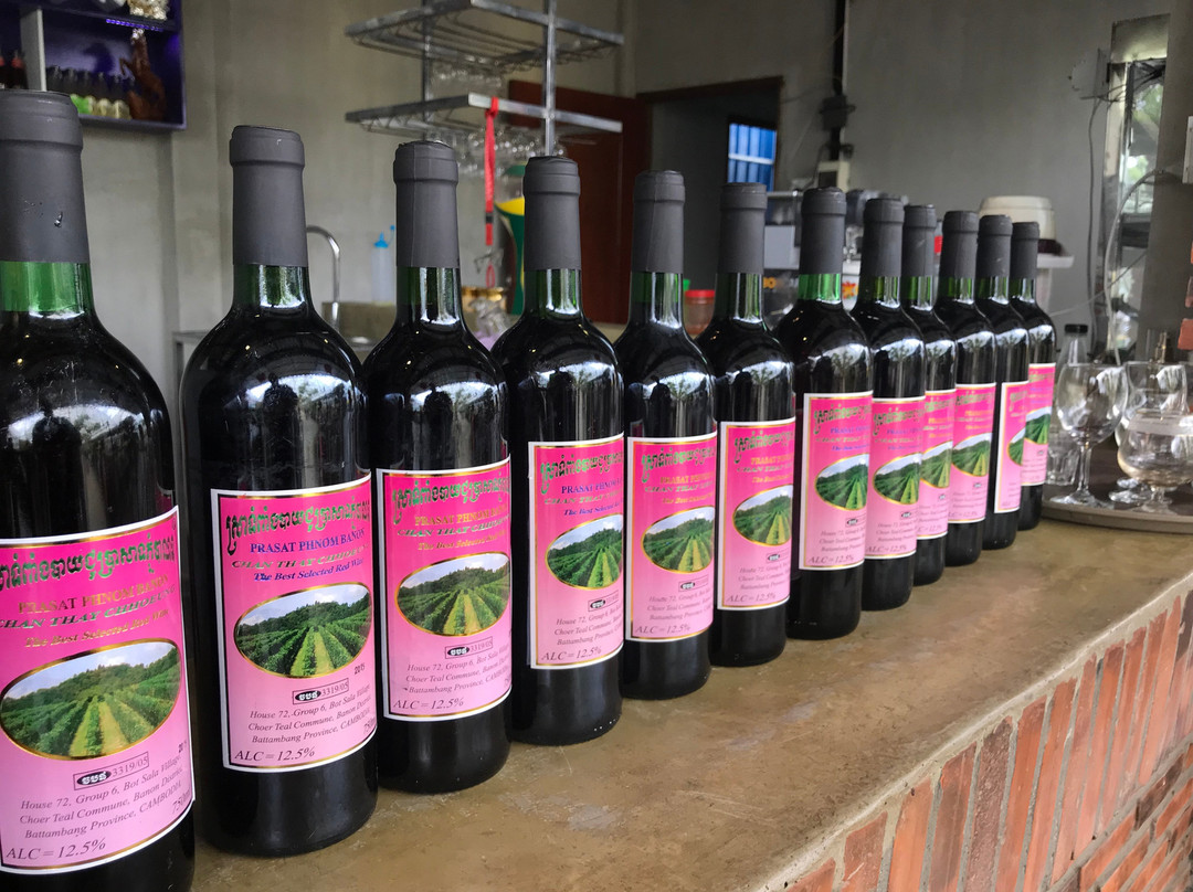 Chan Thay Chhoueng Plantation-马德望必去景点